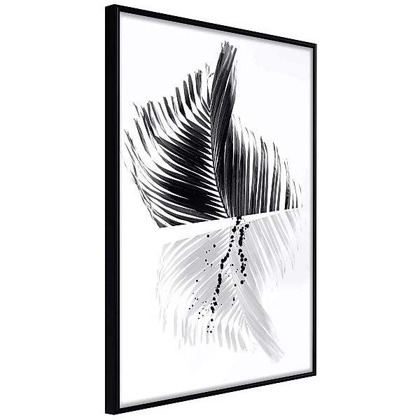 Poster - Abstract Feather günstig online kaufen