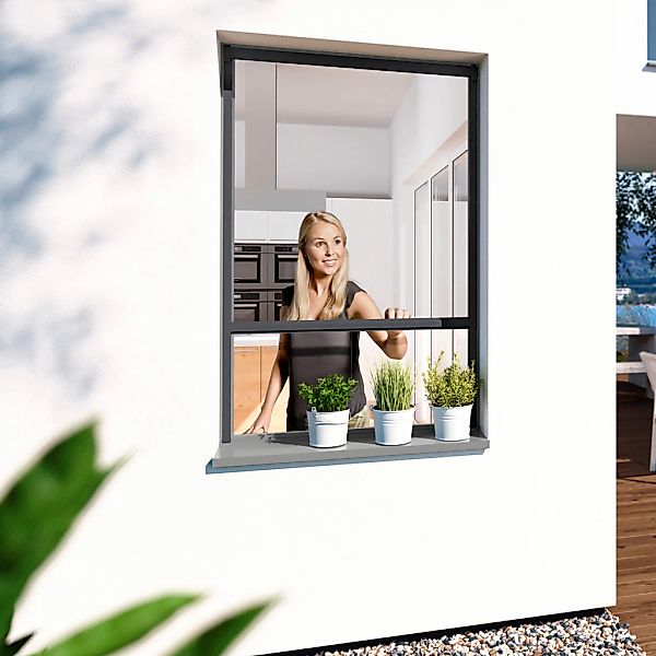 Windhager Insektenschutzrollo "PLUS" transparent BxH: 160x160 cm günstig online kaufen