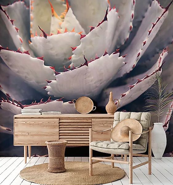 A.S. Création Vliestapete »Fototapete Sukkulente Makroaufnahme Violett Grau günstig online kaufen