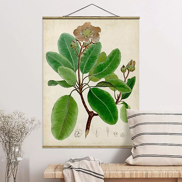 Stoffbild Blumen mit Posterleisten - Hochformat Laubbaum Schautafel VI günstig online kaufen