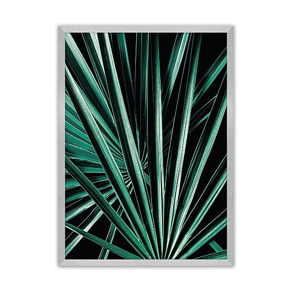 Poster Dark Palm Tree, 40 x 50 cm , Rahmen wählen: silber günstig online kaufen