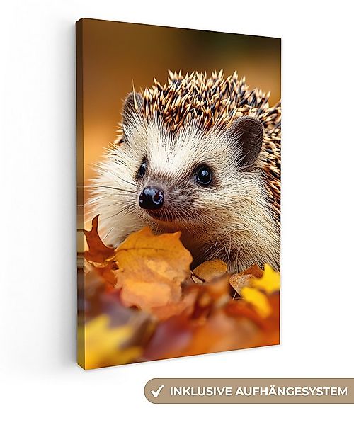 OneMillionCanvasses® Leinwandbild Igel - Wald - Herbstblätter - Herbst - Wa günstig online kaufen