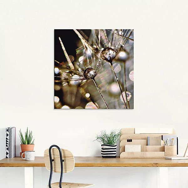 Artland Glasbild "Pusteblume mit Wasserperlen", Blumen, (1 St.) günstig online kaufen
