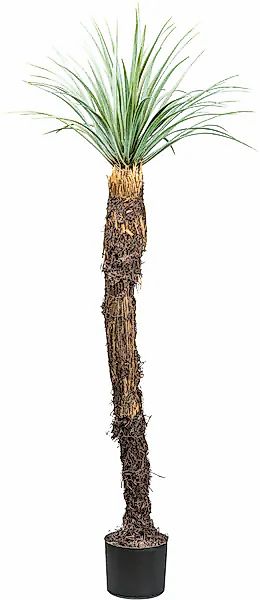 Creativ green Kunstpflanze »Yucca Rostrata« mit außergewöhnlichem Stamm günstig online kaufen