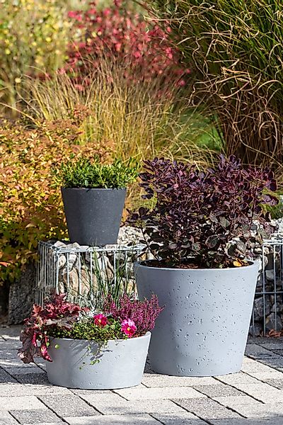 Scheurich Pflanzgefäß C-Cone Ø 47 cm Stony Black günstig online kaufen