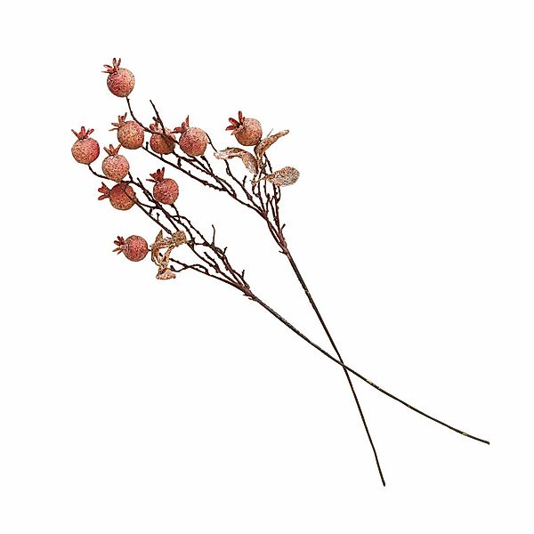 Kunstblume Deko-Zweig 2er Set Salviero braun, günstig online kaufen