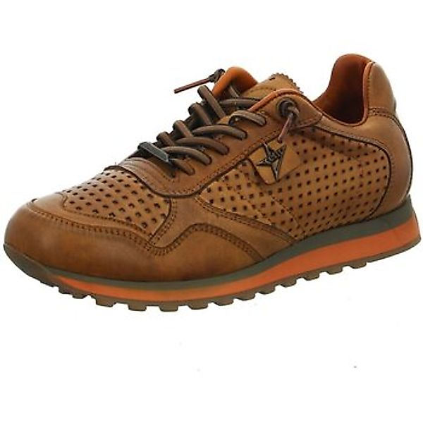 Cetti  Halbschuhe Schnuerschuhe C848 nature tin testa günstig online kaufen