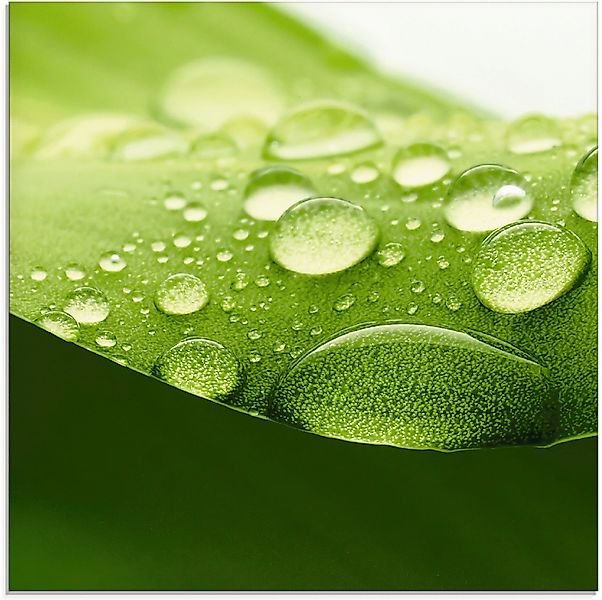 Artland Glasbild Blatt, Zen (1 St), günstig online kaufen