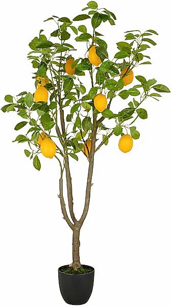 Creativ green Kunstbaum »Zitrone« mit detailgetreuer Gestaltung günstig online kaufen