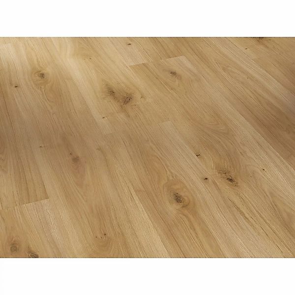 Parador Basic 400 Laminat 8 mm Wasserfest Eiche Horizont Natur günstig online kaufen