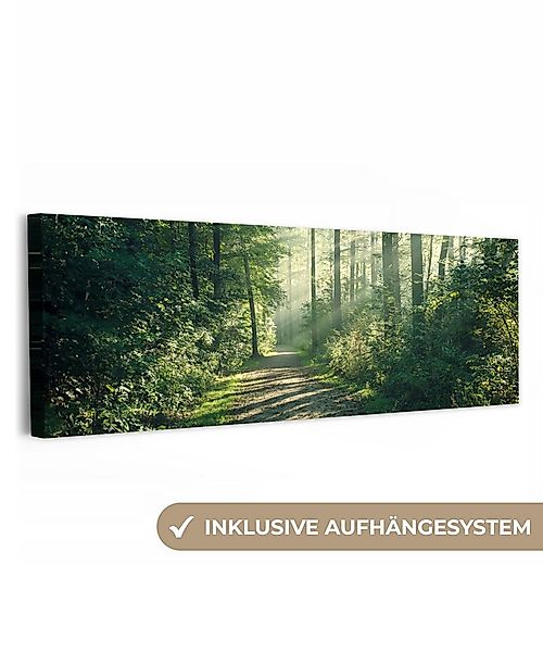 OneMillionCanvasses® Leinwandbild Panorama Wald - Weg - Sonne - Bäume - Grü günstig online kaufen