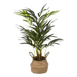 Kunstpflanze Zimmerpflanze, Atmosphera Créateur d'intérieur, Höhe günstig online kaufen