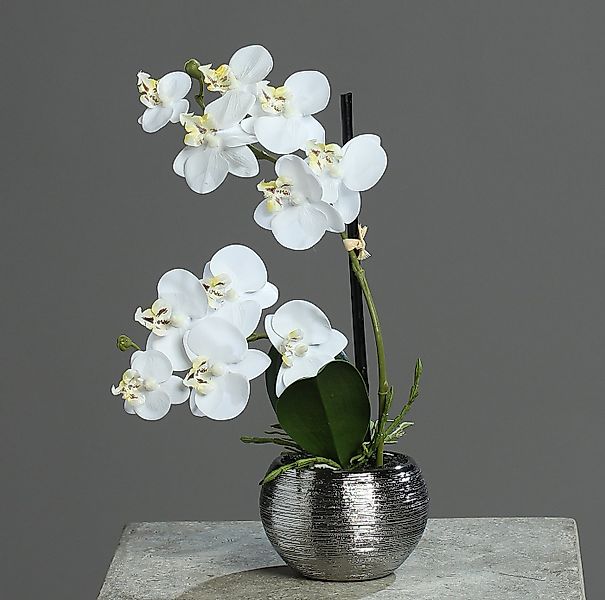 Kunstorchidee 30cm im Keramiktopf, Silber künstliche Orchidee Kunstpflanze günstig online kaufen