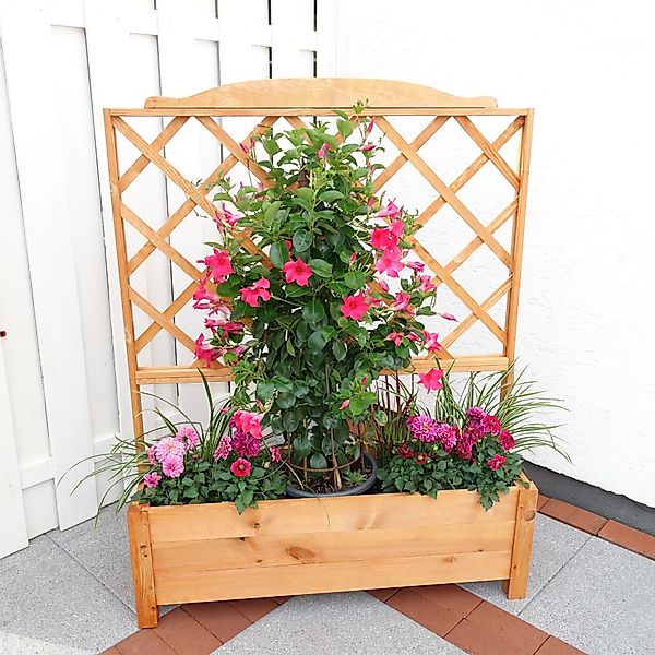 promadino Spalier, mit Pflanzkasten, BxTxH: 110x32x140 günstig online kaufen