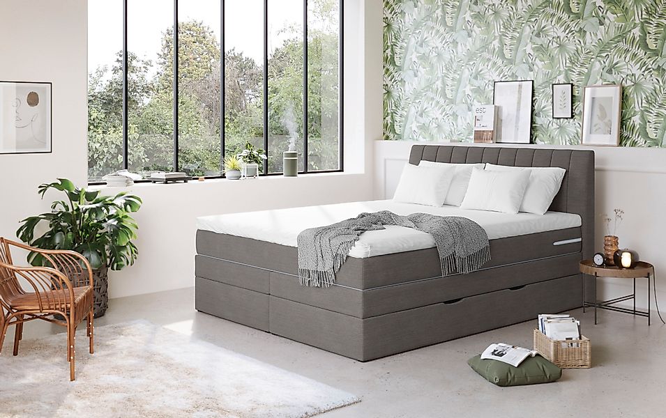 COTTA Boxspringbett »Shark inkl. Bettkasten und Topper«, erhältlich in den günstig online kaufen