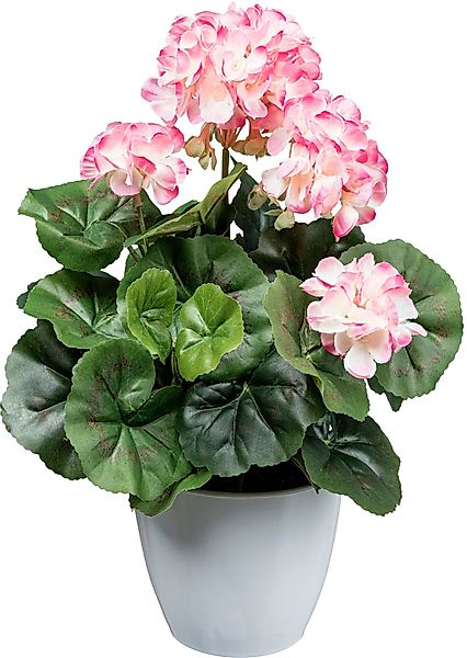 Kunstblume Geranienbusch Mohn, Creativ green, Höhe günstig online kaufen