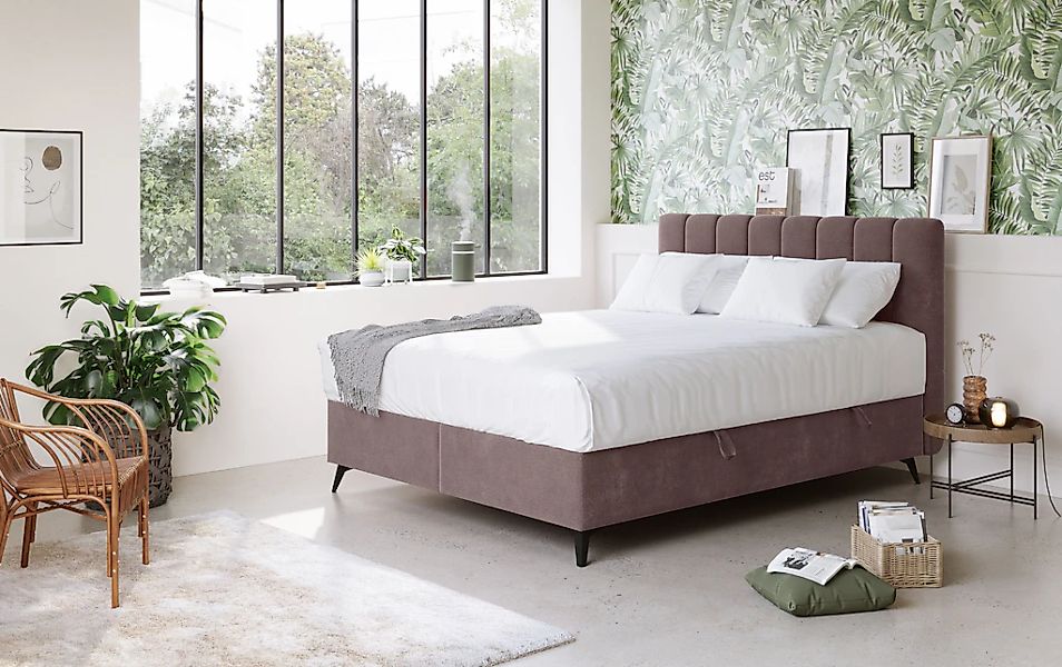 COTTA Boxbett "Vicky inkl. Bettkasten", erhältlich in den Breiten 160x200cm günstig online kaufen