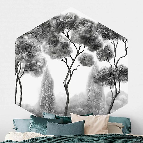 Hexagon Tapete selbstklebend Hohe Bäume schwarz-weiß günstig online kaufen