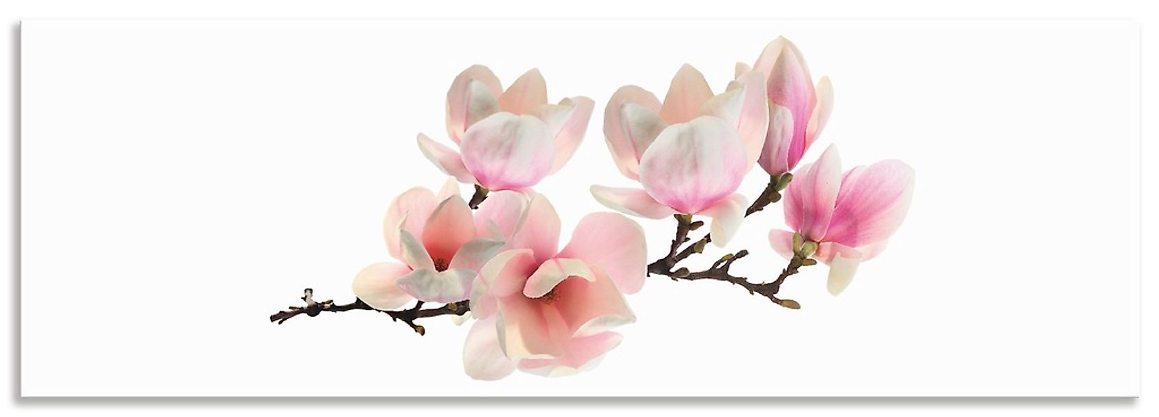 Artland Küchenrückwand "Magnolie", (1 tlg.), Alu Spritzschutz mit Klebeband günstig online kaufen
