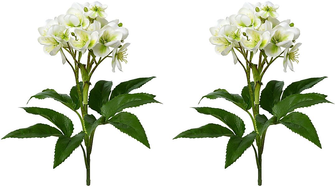 Winterliche Kunstpflanze Weihnachtsdeko Christrose, Creativ green, günstig online kaufen