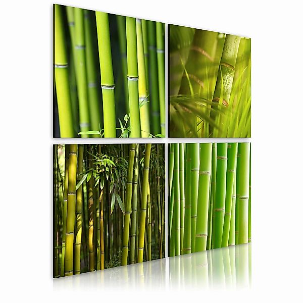 Wandbild - Bambusse günstig online kaufen