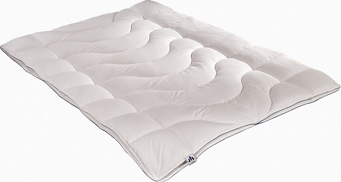 Irisette Microfaserbettdecke Exklusiv Mikrofaser Kochfest, Füllung: Markenh günstig online kaufen