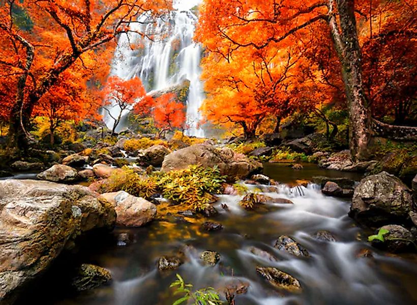 Papermoon Fototapete »Autumn Waterfall« glatt günstig online kaufen