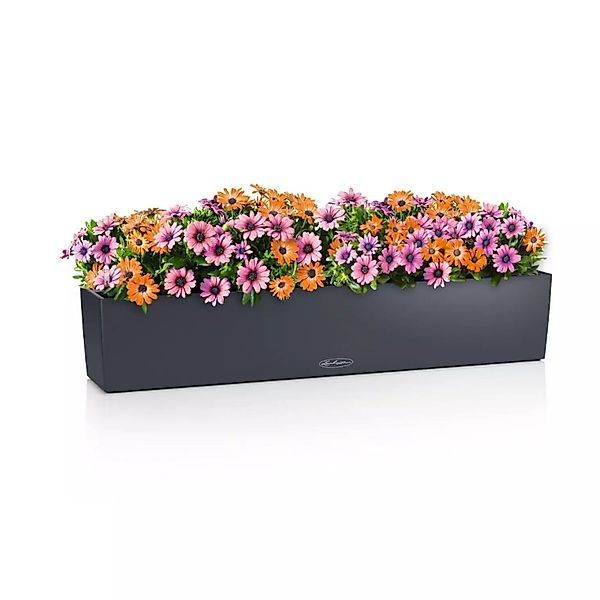 Lechuza® Balkonkasten Balconera Color 100 schiefergrau günstig online kaufen