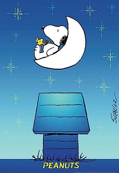 Close Up Poster Peanuts Poster 68 x 99 cm günstig online kaufen