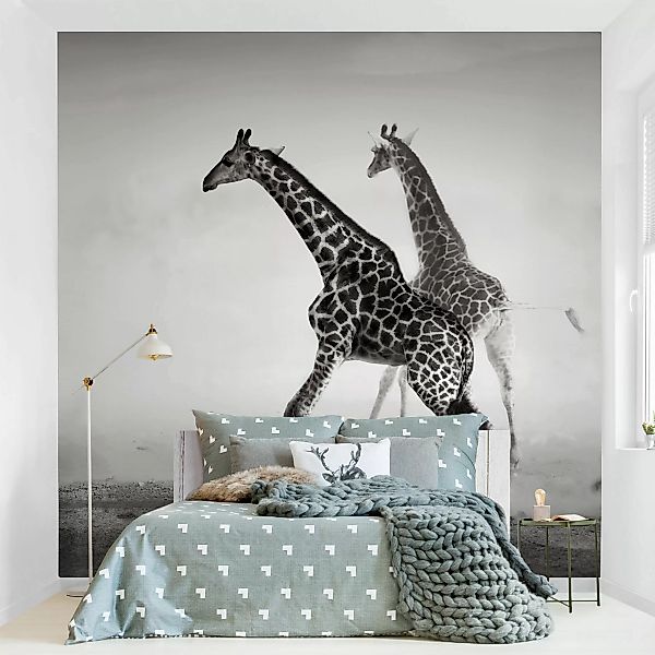 Fototapete Giraffenjagd günstig online kaufen
