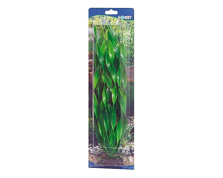 HOBBY Aquariendeko Vallisneria, 34 cm Kunststoffpflanze für Aquarien günstig online kaufen