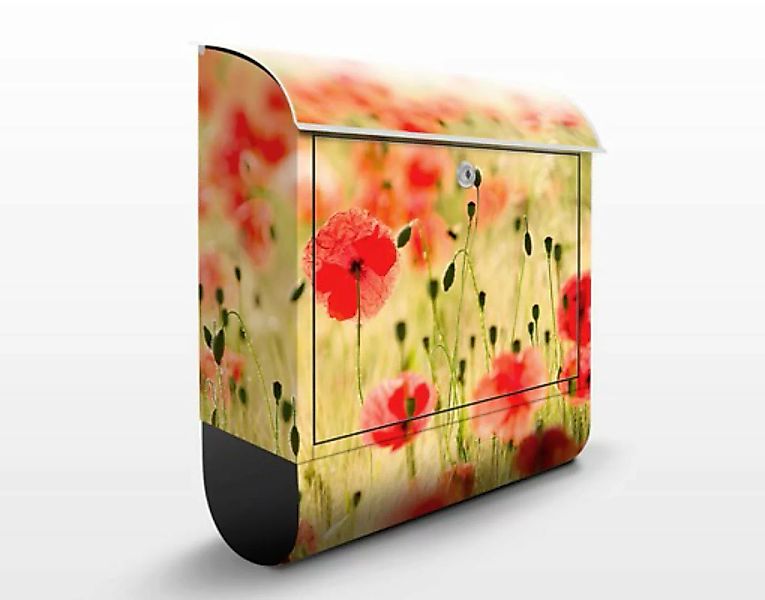 Briefkasten Blumen Summer Poppies günstig online kaufen