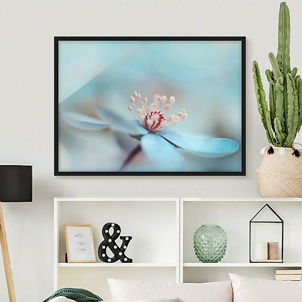 Bild mit Rahmen Blumen - Querformat Blüten in Hellblau günstig online kaufen