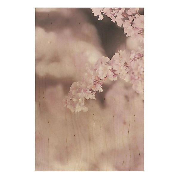 Holzbild Kirschblüte im Violetten Licht günstig online kaufen