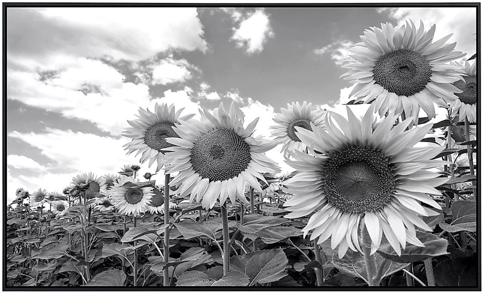 Papermoon Infrarotheizung »Sonnenblumen Schwarz & Weiß«, sehr angenehme Str günstig online kaufen