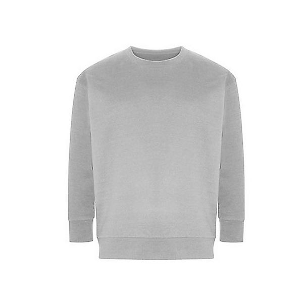 Ecologie Sweatshirt Crater Recycled Sweatshirt günstig online kaufen