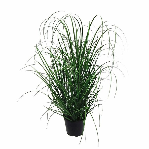 Kunstgras Gras, Creativ green, Höhe 75 günstig online kaufen