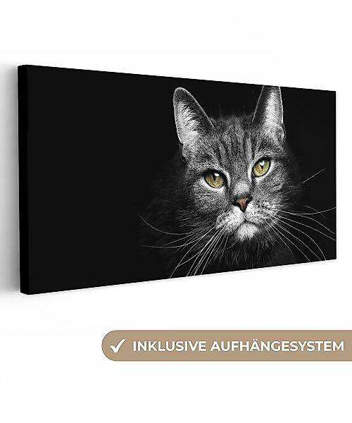 OneMillionCanvasses® Leinwandbild Panorama Haustiere - Katze günstig online kaufen