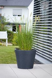 Scheurich Pflanzgefäß Coneo Ø 47 cm Schwarz Granit günstig online kaufen