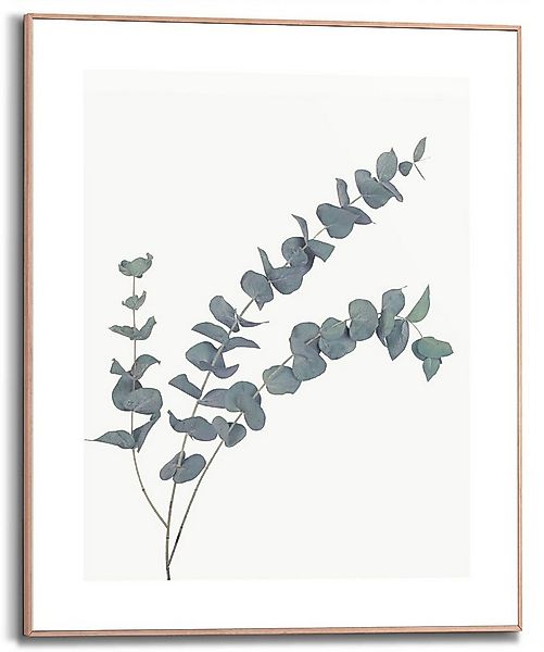 Reinders! Bild mit Rahmen Eucalyptus, (1 St) günstig online kaufen