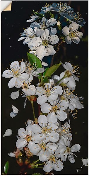 Artland Wandbild "Baumblüte", Blumen, (1 St.), als Leinwandbild, Poster, Wa günstig online kaufen