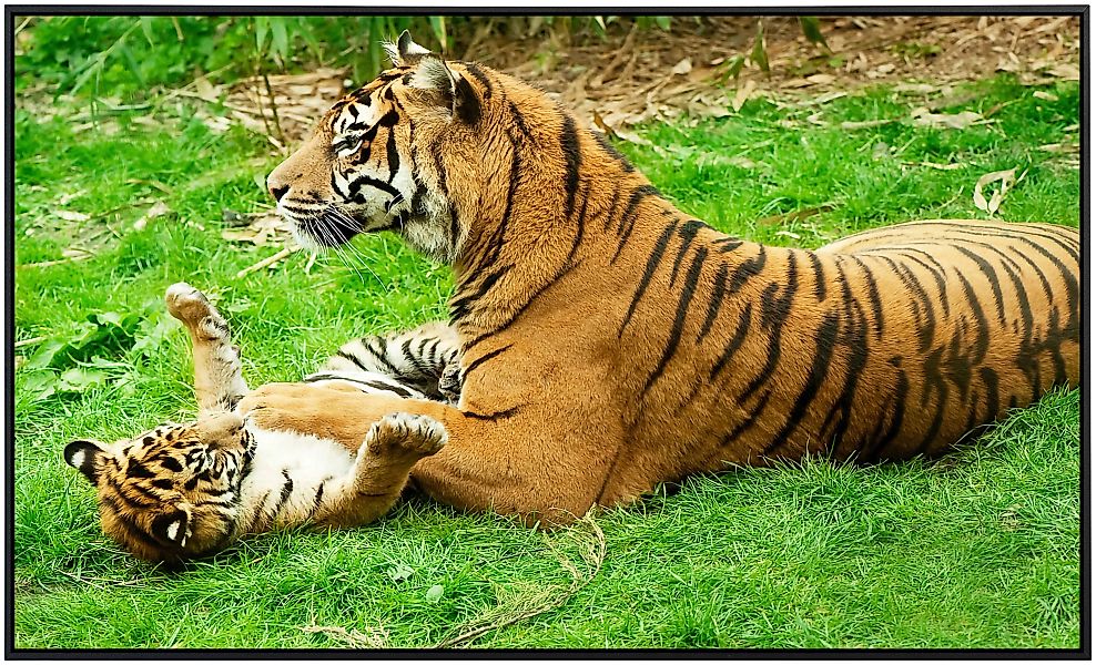 Papermoon Infrarotheizung »Tiger mit Baby«, sehr angenehme Strahlungswärme günstig online kaufen