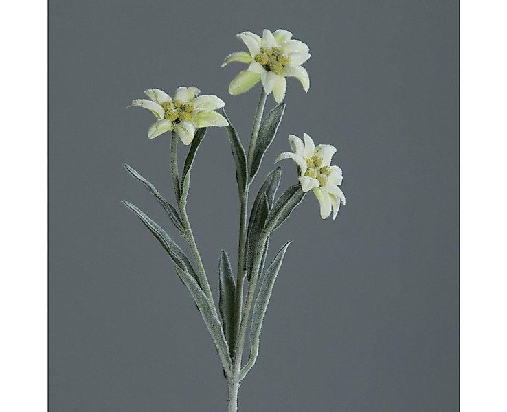 Winterliche Kunstpflanze Künstliches Alpen Edelweiß mit 3 Blüten ca. 30cm C günstig online kaufen