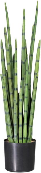 Kunstpflanze Sanseveria, Creativ green, Höhe 100 günstig online kaufen