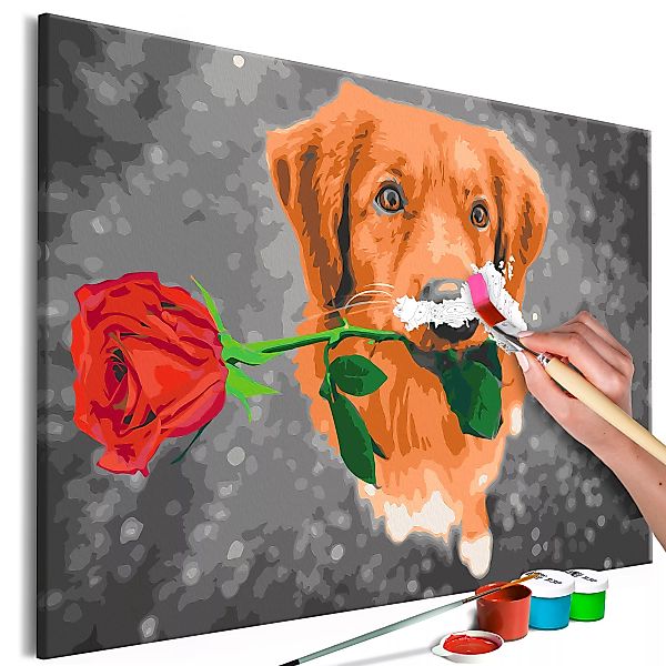 Malen Nach Zahlen - Dog With Rose günstig online kaufen