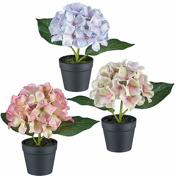 Creativ green Kunstblume "Mini-Hortensie in Pastellfarben", mit Glitzerschi günstig online kaufen