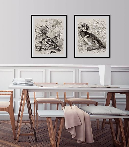 queence Bild »Donald«, Vögel-Vogelbilder-historische Ereignisse-Kunst, (1 S günstig online kaufen