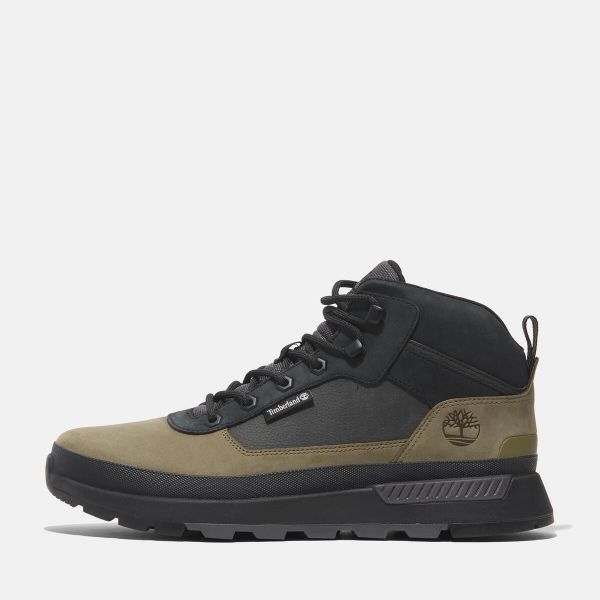 Timberland FIELD TREKKERMID LACE UP SNEAKER günstig online kaufen