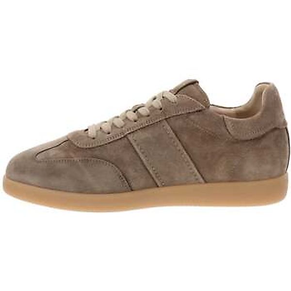 NeroGiardini  Sneaker NERO GIARDINI  501 AROLD VELO TALPA günstig online kaufen
