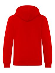FC Bayern München Kapuzenpullover FC Bayern günstig online kaufen